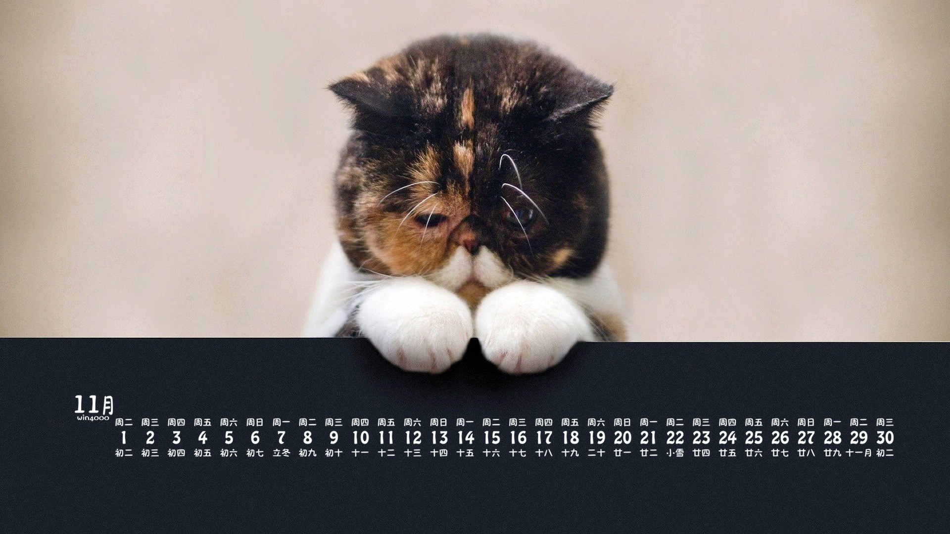src=http___pic1.win4000.com_wallpaper_a_581a9930e5a8b.jpg&refer=http___pic1.win4000.jpg