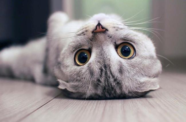 src=http___nimg.ws.126.net__url=http://dingyue.ws.126.net/2021/0417/10ab11cbj00qroe0b001dc000ny00foc.jpg&thumbnail=650x2147483647&quality=80&type=jpg&refer=http___nimg.ws.126.jpg