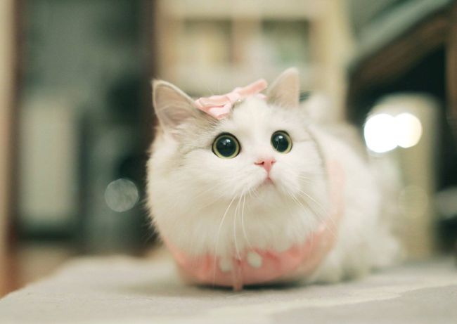 src=http___nimg.ws.126.net__url=http://dingyue.ws.126.net/2021/0906/85c94da0j00qz0pzq003yc000xc00nmc.jpg&thumbnail=650x2147483647&quality=80&type=jpg&refer=http___nimg.ws.126.jpg