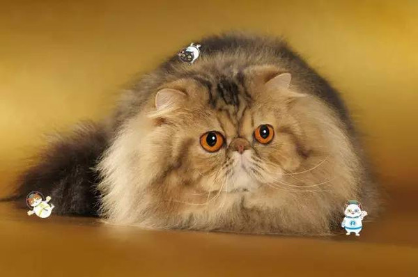 src=http___img.mp.itc.cn_upload_20160531_c9f0595315ac4db1bcd6a90a11e9e1f6_th.jpg&refer=http___img.mp.itc.jpg