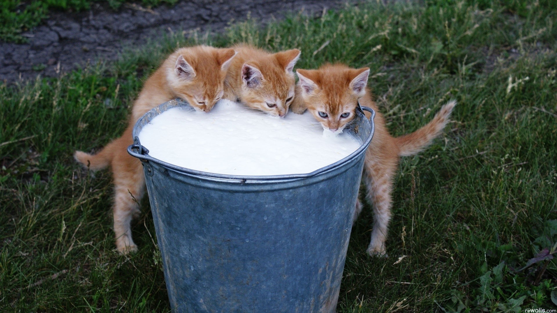 src=http___www.2008php.com_2013_Website_appreciate_2013-07-06_20130706002527.jpg&refer=http___www.2008php.jpg
