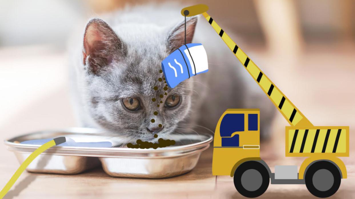 src=http___5b0988e595225.cdn.sohucs.com_images_20190603_da47f2738ed44386a94f2ca577a4a124.png&refer=http___5b0988e595225.cdn.sohucs.jpg