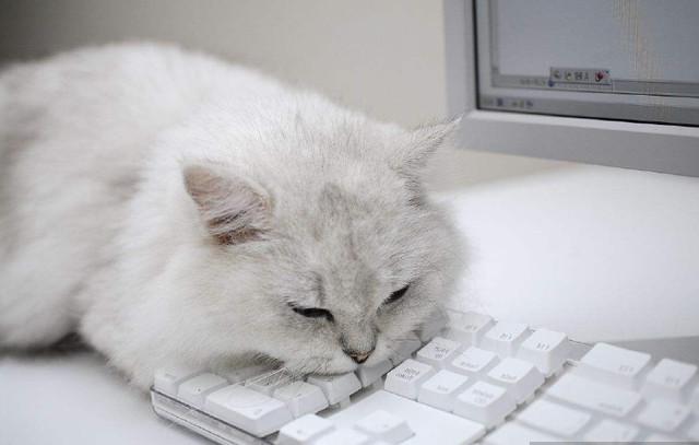src=http___i.3kr.com_uploads_allimg_180914_1Z1344Q5-5.jpg&refer=http___i.3kr.jpg