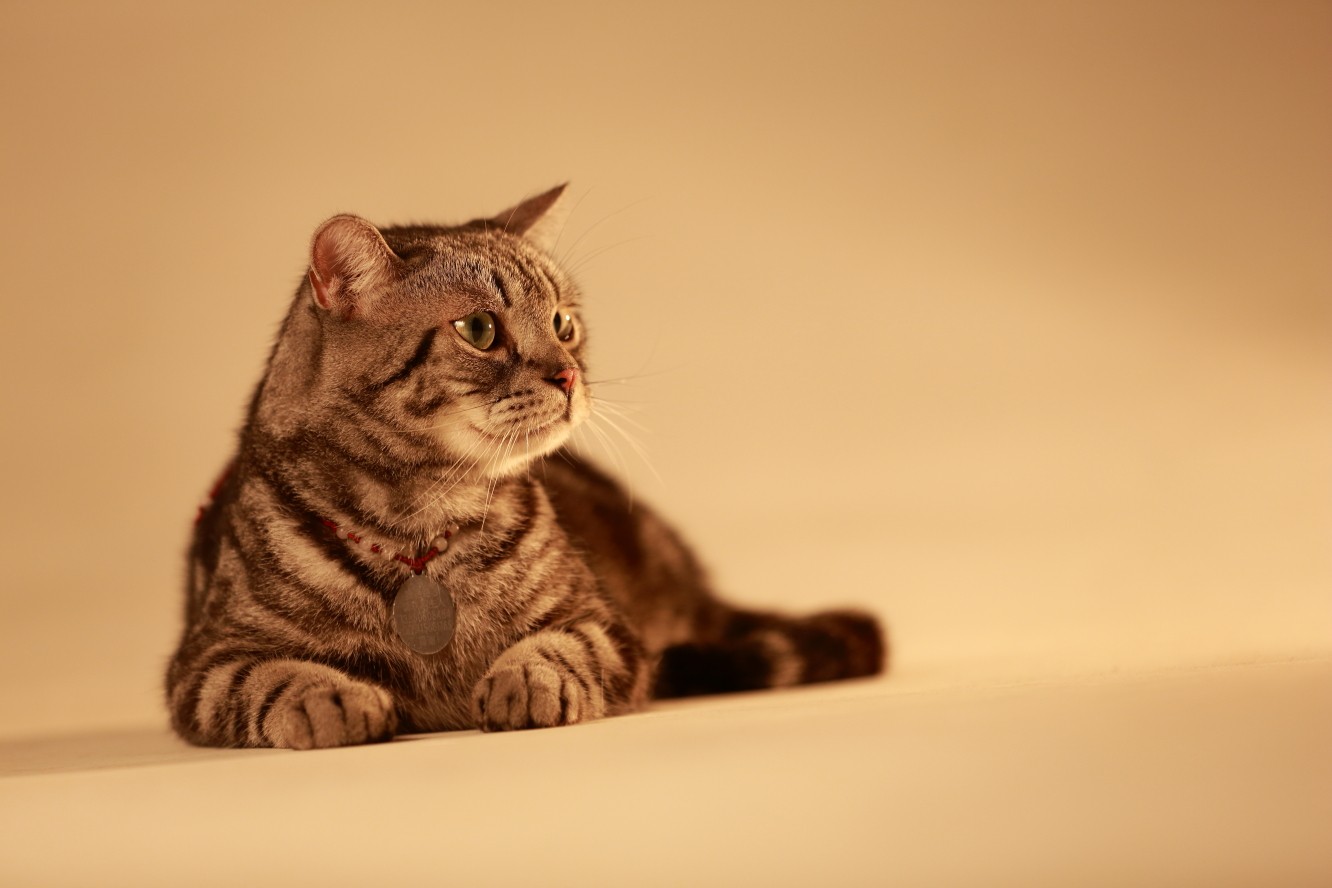 src=http___img.pconline.com.cn_images_upload_upc_tx_photoblog_1207_24_c5_12518397_12518397_1343102574406.jpg&refer=http___img.pconline.com.jpg
