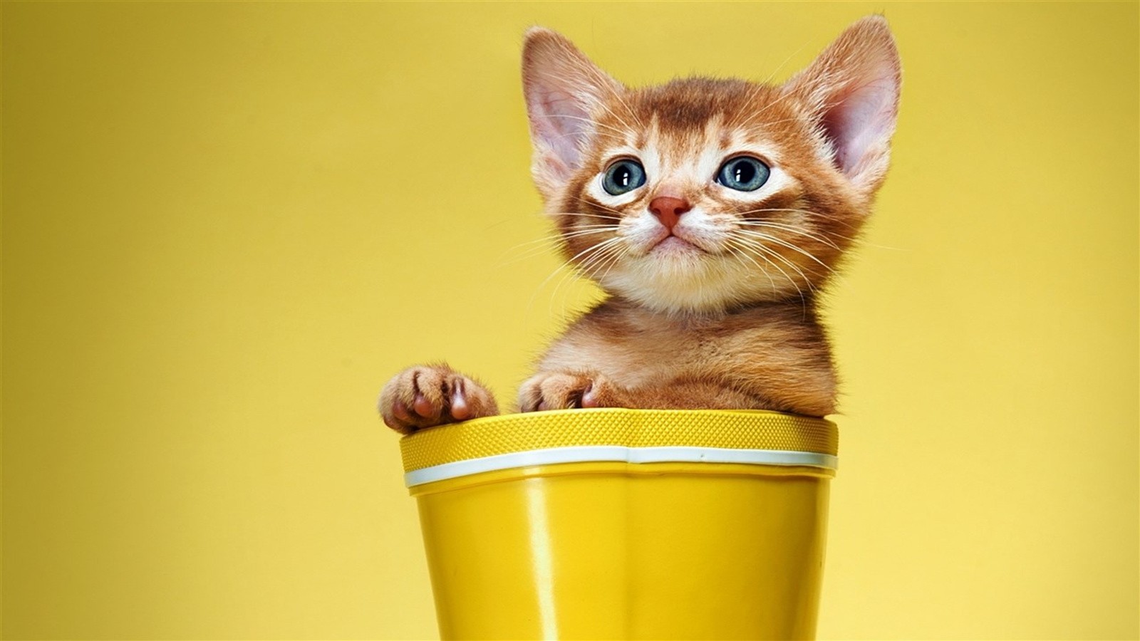 src=http___img9.51tietu.net_pic_2019-090902_i3tbuzl2l3fi3tbuzl2l3f.jpg&refer=http___img9.51tietu.jpg