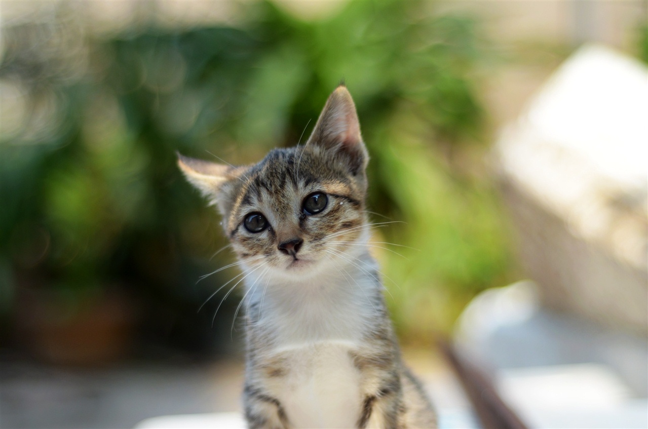src=http___img.pconline.com.cn_images_upload_upc_tx_photoblog_1111_30_c11_9800197_9800197_1322652352522.jpg&refer=http___img.pconline.com.jpg