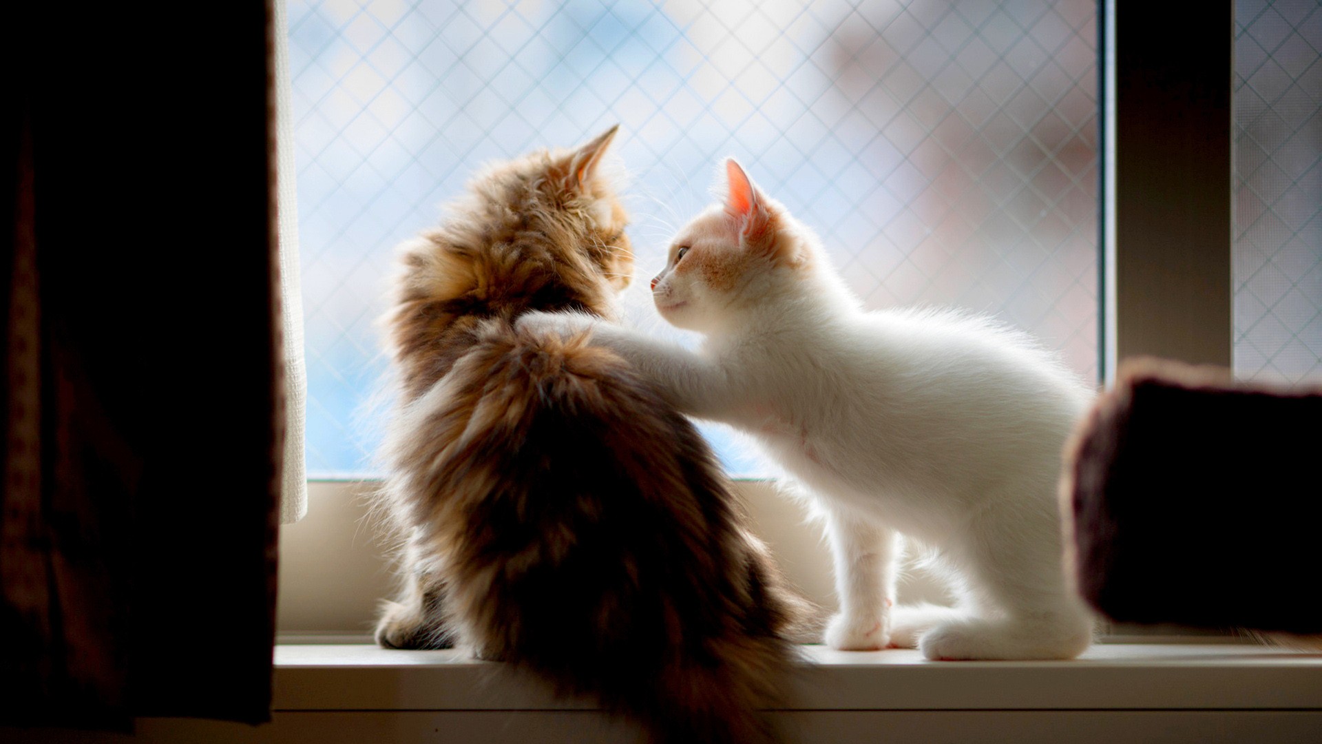 src=http___img9.51tietu.net_pic_2019-091305_pe2cmgtxkj4pe2cmgtxkj4.jpg&refer=http___img9.51tietu.jpg