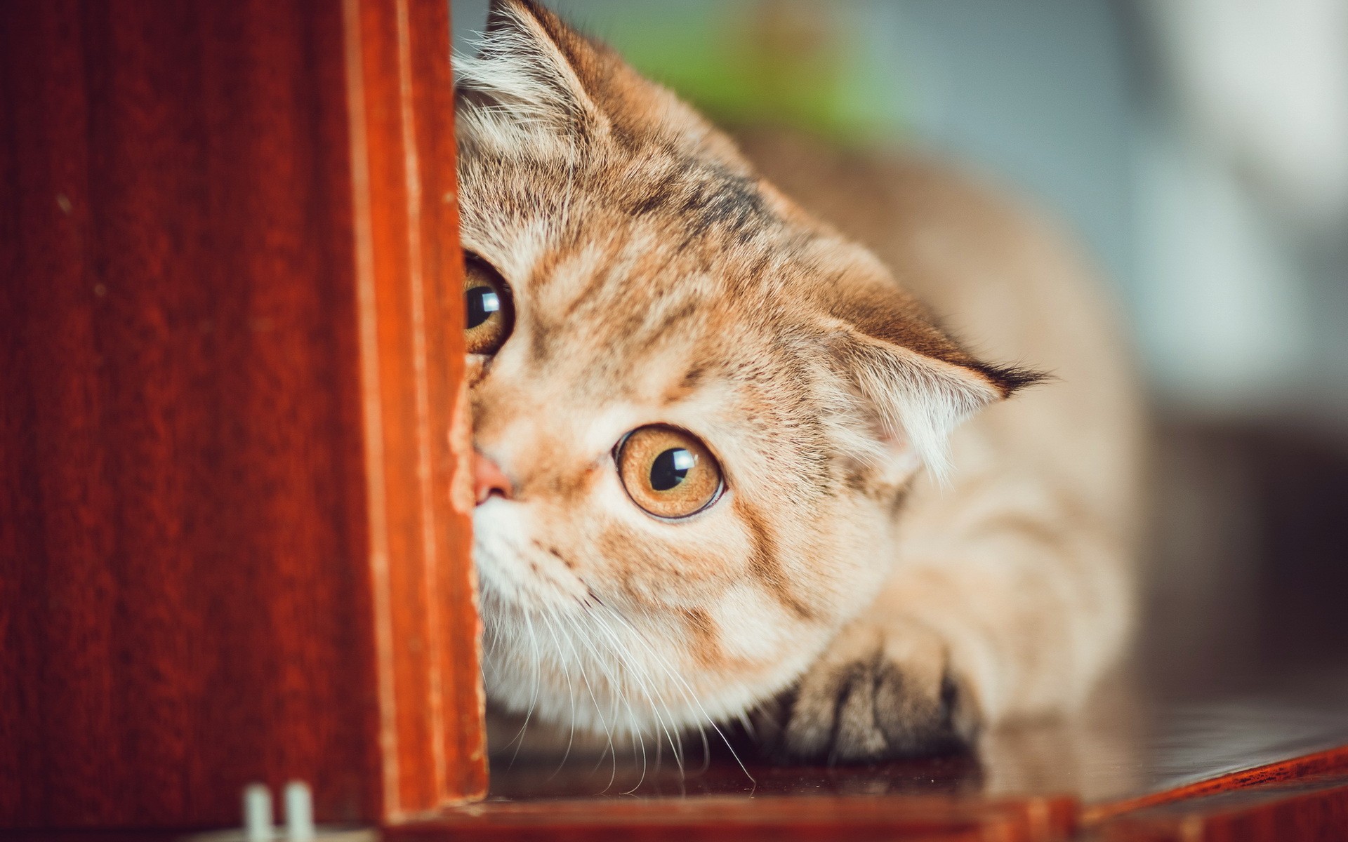 src=http___img9.51tietu.net_pic_2019-090914_1uc403olees1uc403olees.jpg&refer=http___img9.51tietu.jpg