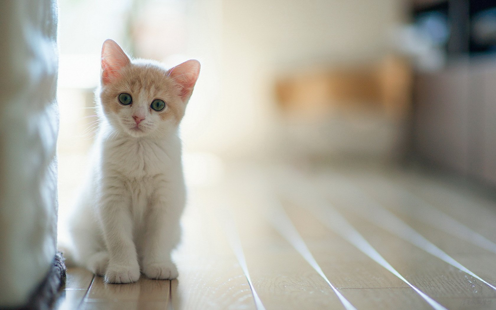 src=http___uploads.xuexila.com_allimg_1702_985-1F2151GG3c6.jpg&refer=http___uploads.xuexila.jpg