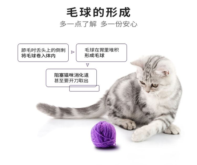 cc11728b4710b9124065e0b90187a70a93452250.png