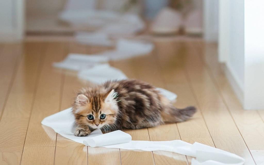 src=http___qqpublic.qpic.cn_qq_public_0_0-2800919241-1896FE1C4683D91969B8548FC8B3533E_0_fmt=jpg&size=42&h=563&w=900&ppv=1.jpg&refer=http___qqpublic.qpic.jpg