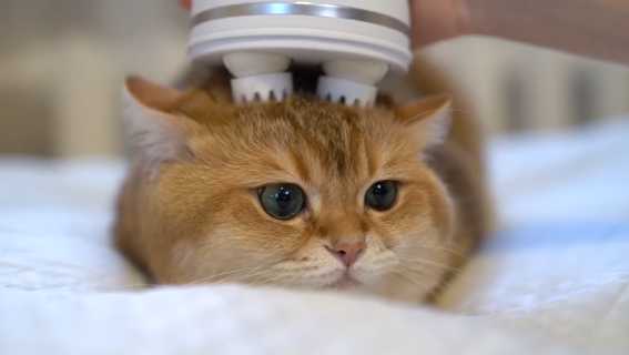 src=http___pic4.zhimg.com_50_v2-f0f1cd6a184d23b19e06ca9d945595d7_bh.jpg&refer=http___pic4.zhimg.jpg